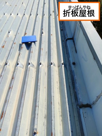 折板屋根　雨漏り調査